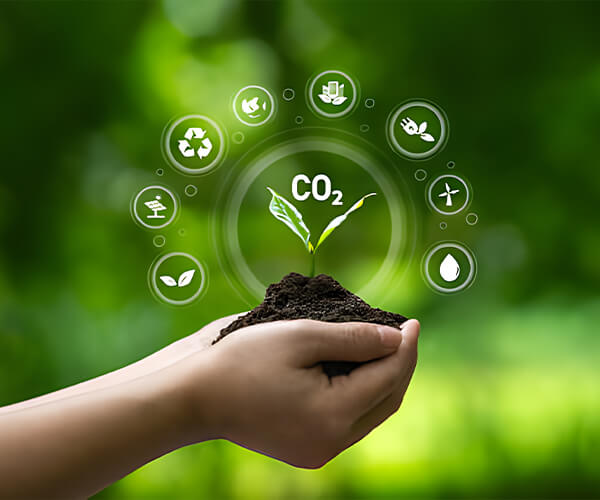 Hebei Huaheng Biological Technology Co., Ltd