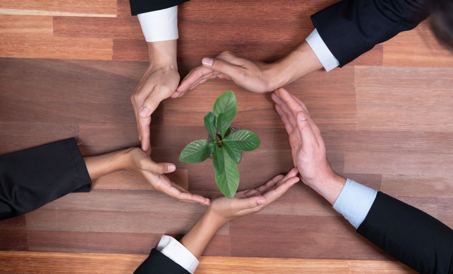 Hebei Huaheng Biological Technology Co., Ltd