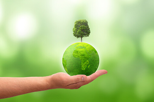 Hebei Huaheng Biological Technology Co., Ltd